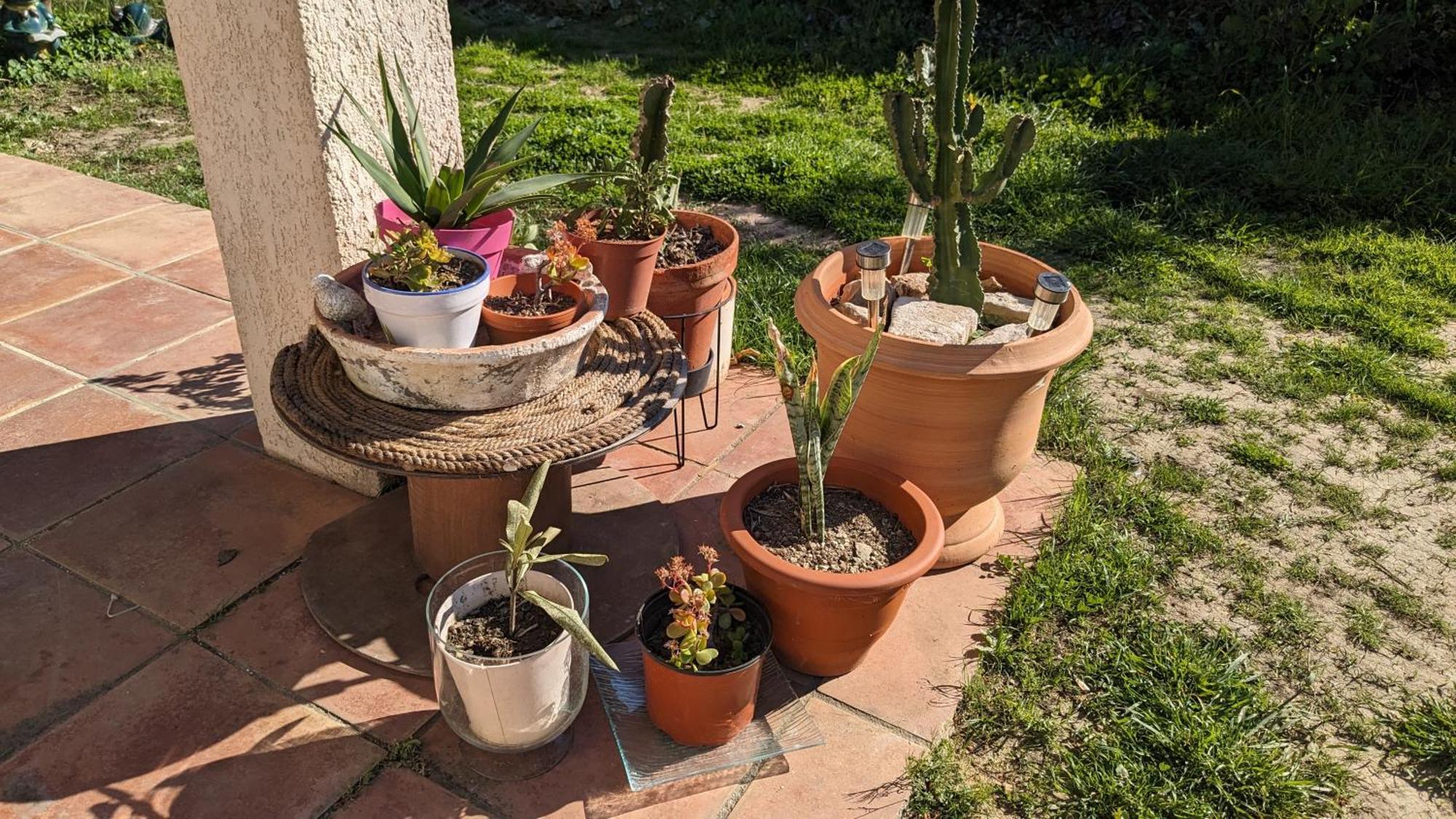 Maisonnette Kalis Calme Avec Climatisation Parking Jardin Cadre Campagne Plages A Pieds باندول المظهر الخارجي الصورة