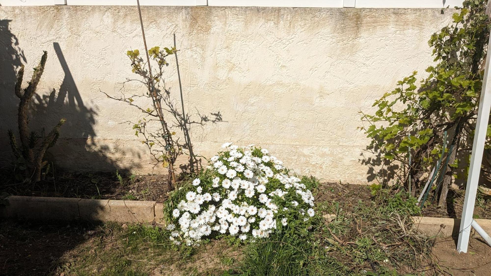 Maisonnette Kalis Calme Avec Climatisation Parking Jardin Cadre Campagne Plages A Pieds باندول المظهر الخارجي الصورة